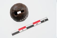Foto von Eisenwirtel (NHMW-PRAE-024364)